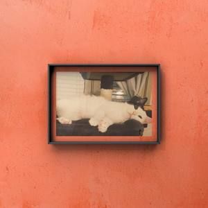 Meet your Posher, Siyi